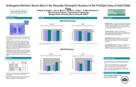 Brittany N. Dugger 1, John A. Morris 1, Cynthia L. Jordan 1,2, S. Marc Breedlove 1,2 1 Neuroscience Program; 2 Department of Psychology Michigan State.