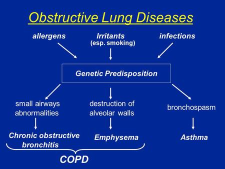 Obstructive Lung Diseases infectionsIrritantsallergens (esp. smoking) Genetic Predisposition bronchospasm AsthmaEmphysema destruction of alveolar walls.