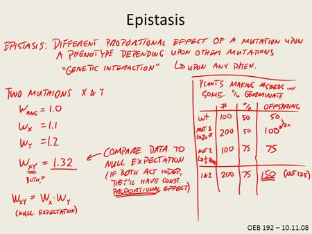 OEB 192 – 10.11.08 Epistasis. (Segrè et al., 2005. Nat. Genet.)