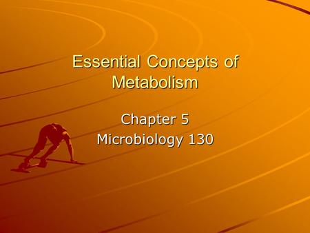 Essential Concepts of Metabolism