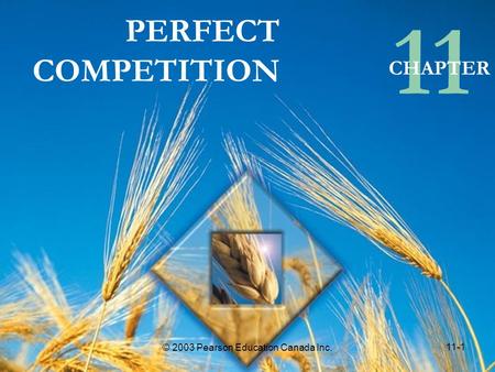 11 PERFECT COMPETITION CHAPTER