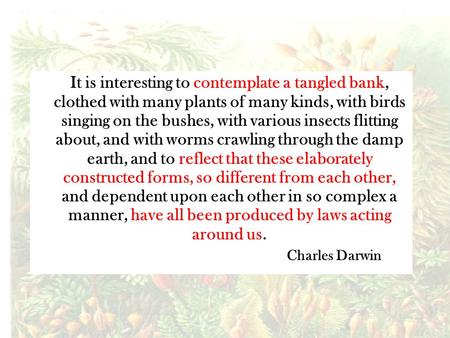 It is interesting to contemplate a tangled bank, clothed with many plants of many kinds, with birds singing on the bushes, with various insects flitting.