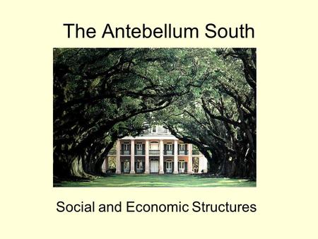 The Antebellum South Social and Economic Structures.