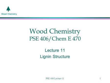 Wood Chemistry PSE 406/Chem E 470