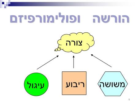 1 הורשה ופולימורפיזם צורה ריבוע עיגול משושה. 2 מוטיבציה: מוטיבציה: אפליקציית חלונות טיפוסית – נעזרת בפקדים (Widgets) Button Textbox Label Form.