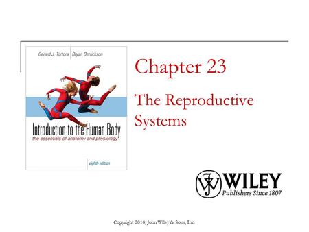 Chapter 23 The Reproductive Systems