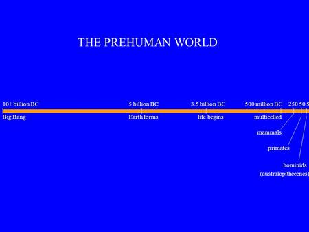 THE PREHUMAN WORLD Big Bang 10+ billion BC5 billion BC Earth forms 3.5 billion BC life begins 500 million BC multicelled 250 50 5 mammals primates hominids.