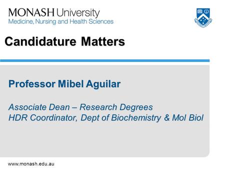 Candidature Matters Professor Mibel Aguilar