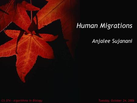 Human Migrations Anjalee Sujanani CS 374 – Algorithms in Biology Tuesday, October 24, 2006.