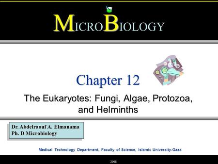 Medical Technology Department, Faculty of Science, Islamic University-Gaza MB M ICRO B IOLOGY Dr. Abdelraouf A. Elmanama Ph. D Microbiology 2008 Chapter.