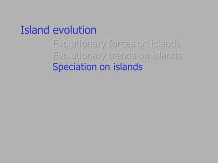 Island evolution. Geospiza magnirostris magnirostris Geospiza magnirostris strenua Geospiza fortis Geospiza nebulosa nebulosa Camarhynchus parvulus parvulus.