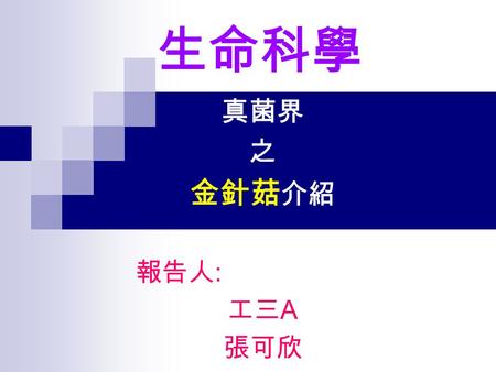 生命科學 真菌界 之 金針菇 介紹 報告人 : 工三 A 張可欣. 金針菇基本資料 : 學名 : 毛柄金錢菌 俗稱 : 構菌、朴菇、冬菇 真菌界 Kingdom Fungi 擔子菌目 口蘑科 Tricholomataceae 小火燄菌屬 Flammulina.