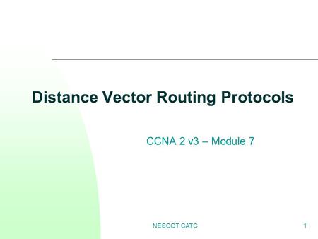 Distance Vector Routing Protocols