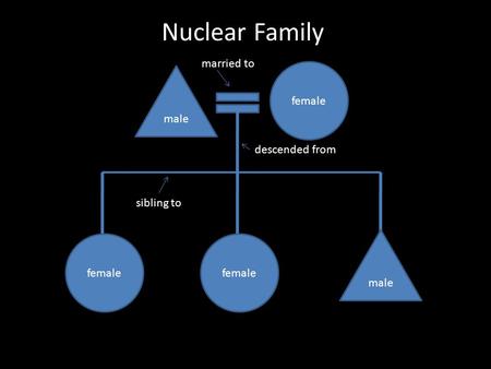 Male female male Nuclear Family married to descended from sibling to.