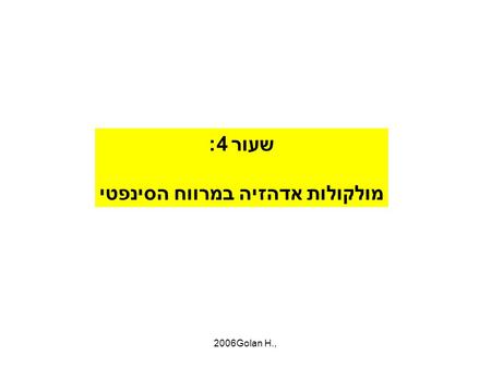 Golan H., 2006 שעור 4: מולקולות אדהזיה במרווח הסינפטי.