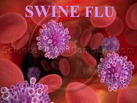 SWINE FLU.