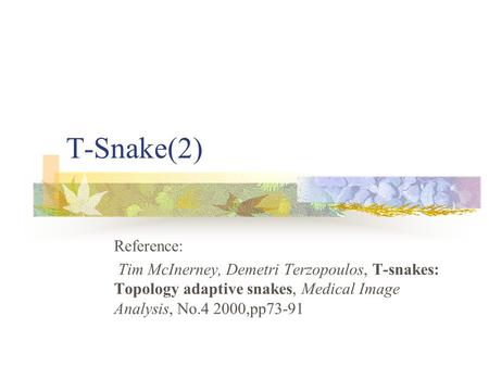 T-Snake(2) Reference: Tim McInerney, Demetri Terzopoulos, T-snakes: Topology adaptive snakes, Medical Image Analysis, No.4 2000,pp73-91.