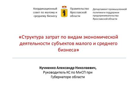 Правительство Ярославской области Кучменко Александр Николаевич, Руководитель КС по МиСП при Губернаторе области «Структура затрат по видам экономической.