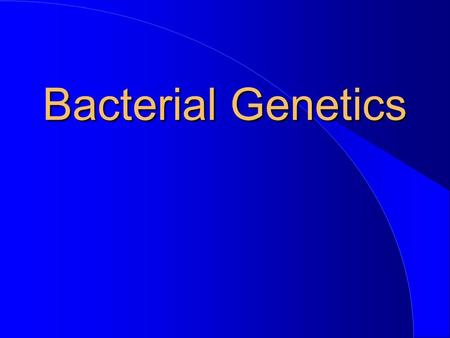 Bacterial Genetics. Cell Wall Cytoplasm Cell Membrane Bacteria Have Circular Chromosomes Termination of Replication Origin of Replication Chromosome.