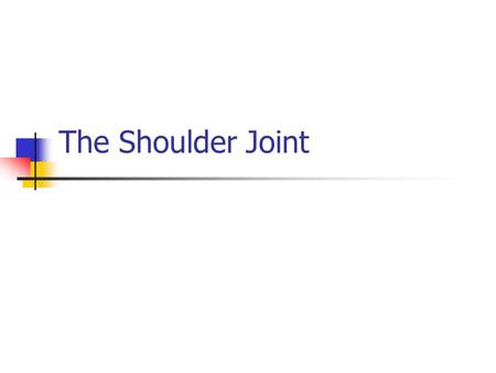 The Shoulder Joint.