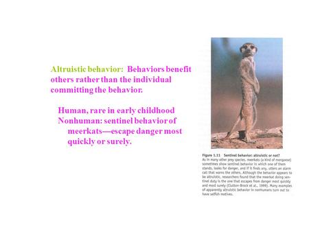 Altruistic behavior: Behaviors benefit others rather than the individual committing the behavior. Human, rare in early childhood Nonhuman: sentinel behavior.