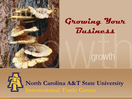 North Carolina A&T State University International Trade Center Growing Your Business.