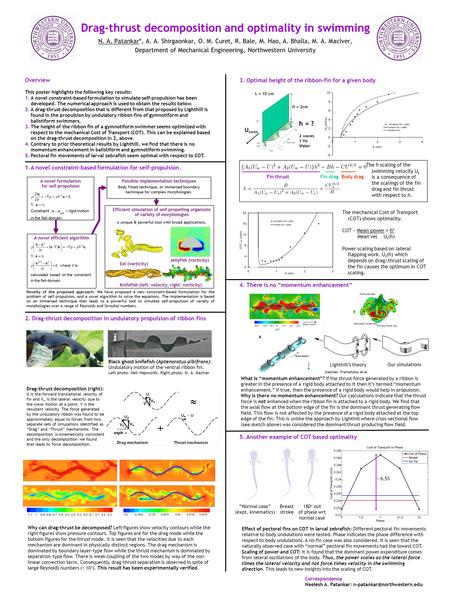 Drag-thrust decomposition and optimality in swimming N. A. Patankar*, A. A. Shirgaonkar, O. M. Curet, R. Bale, M. Hao, A. Bhalla, M. A. MacIver, Department.