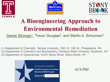 A Bioengineering Approach to Environmental Remediation Daniel Strongin 1, Trevor Douglas 2, and Martin A. Schoonen 3 (1) Department of Chemistry, Temple.