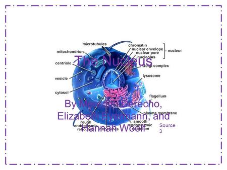 The Nucleus By Meredith Derecho, Elizabeth Eyermann, and Hannah Woolf Source 3.