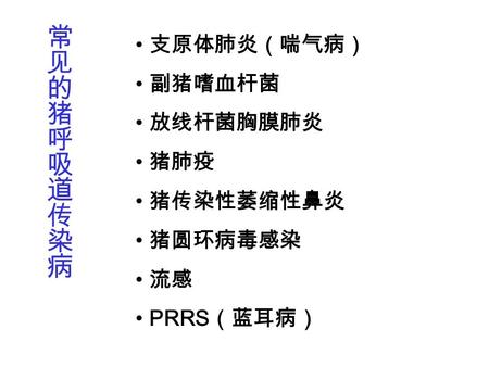 支原体肺炎（喘气病） 副猪嗜血杆菌 放线杆菌胸膜肺炎 猪肺疫 猪传染性萎缩性鼻炎 猪圆环病毒感染 流感 PRRS （蓝耳病）