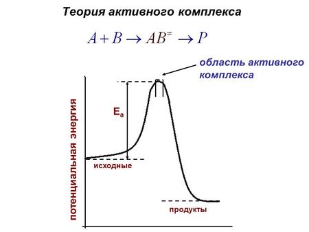 Теория активного комплекса потенциальная энергия исходные продукты ЕаЕа область активного комплекса.