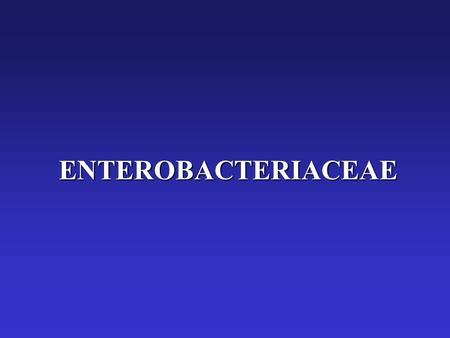 ENTEROBACTERIACEAE.