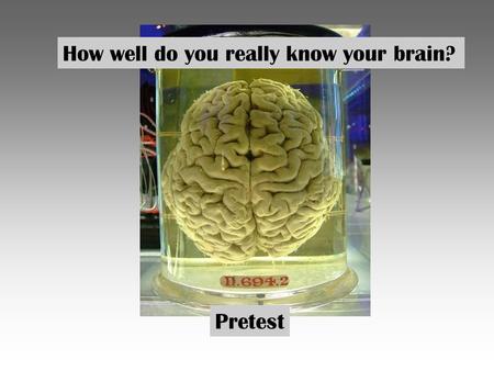 How well do you really know your brain? Pretest. 1.How much does your brain weigh (adult)? 2. How much at birth? 3. Your brain accounts for what percentage.