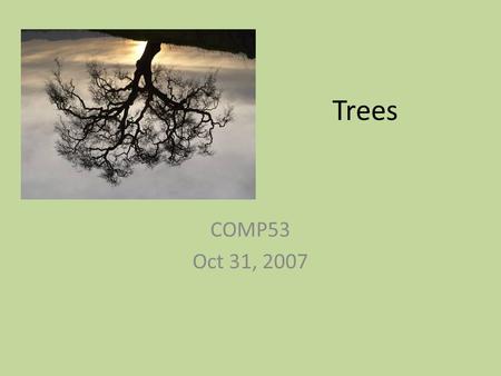 Trees COMP53 Oct 31, 2007. What is a Tree? A tree is an abstract model of a hierarchical structure A tree consists of nodes with a parent-child relation.