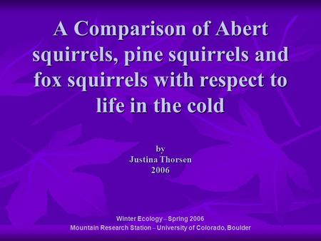 A Comparison of Abert squirrels, pine squirrels and fox squirrels with respect to life in the cold by Justina Thorsen 2006 Winter Ecology – Spring 2006.