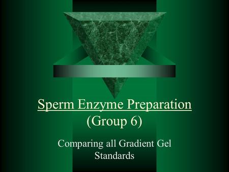 Sperm Enzyme Preparation (Group 6) Comparing all Gradient Gel Standards.