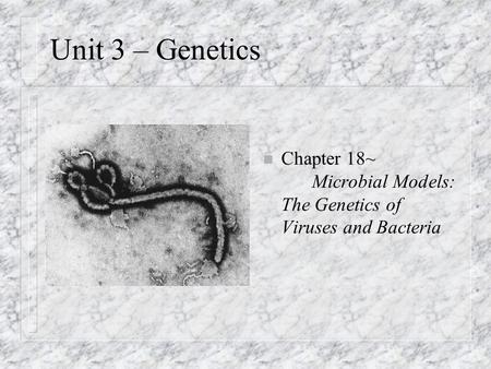 Unit 3 – Genetics Chapter 18~	Microbial Models: The Genetics of Viruses and Bacteria.