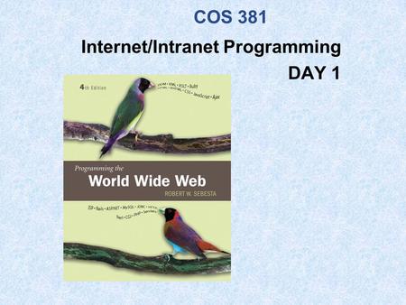 COS 381 Internet/Intranet Programming DAY 1. © 2006 Pearson Addison-Wesley. All rights reserved. 1-2 Agenda Roll Call Introductions Blackboard Syllabus.