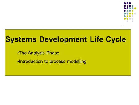 Systems Development Life Cycle