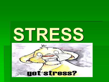 STRESS.