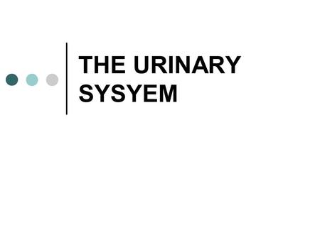 THE URINARY SYSYEM.