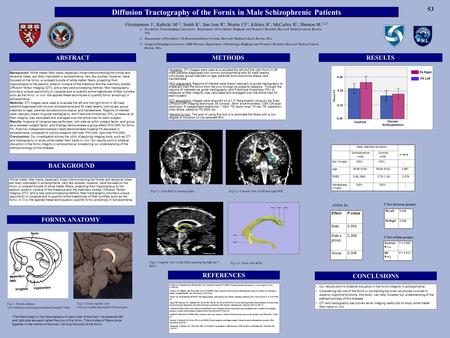 Diffusion Tractography of the Fornix in Male Schizophrenic Patients Background: White matter fiber tracts, especially those interconnecting the frontal.