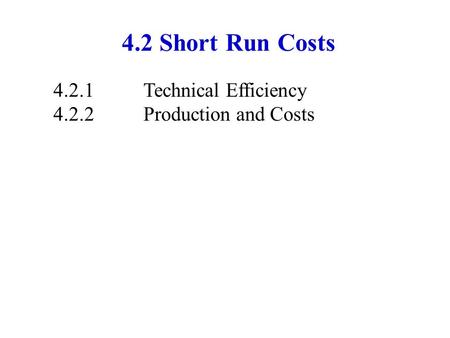 4.2 Short Run Costs 4.2.1Technical Efficiency 4.2.2Production and Costs.