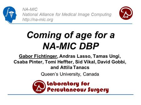 NA-MIC National Alliance for Medical Image Computing  Coming of age for a NA-MIC DBP Gabor Fichtinger, Andras Lasso, Tamas Ungi, Csaba.