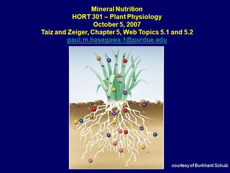 HORT 301 – Plant Physiology October 5, 2007