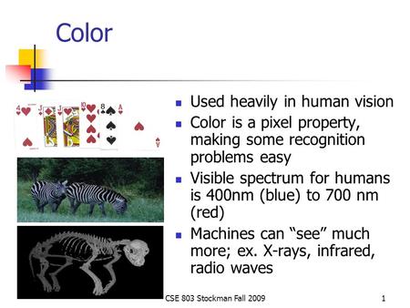 CSE 803 Stockman Fall 20091 Color Used heavily in human vision Color is a pixel property, making some recognition problems easy Visible spectrum for humans.