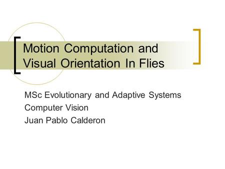 Motion Computation and Visual Orientation In Flies MSc Evolutionary and Adaptive Systems Computer Vision Juan Pablo Calderon.