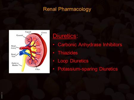 Diuretics: Renal Pharmacology Carbonic Anhydrase Inhibitors Thiazides