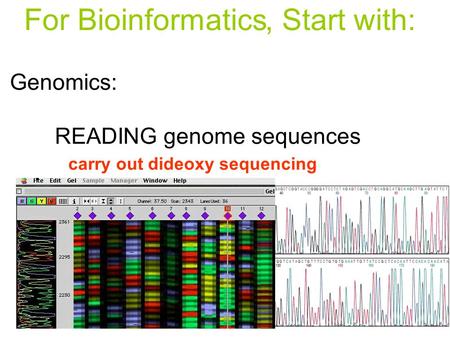 Genomics: READING genome sequences ASSEMBLY of the sequence ANNOTATION of the sequence carry out dideoxy sequencing connect seqs. to make whole chromosomes.