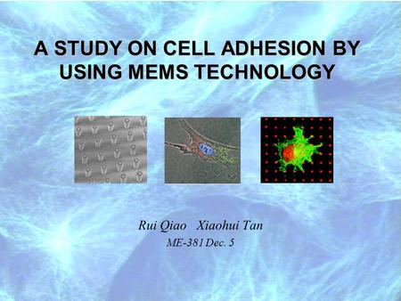 ME-381 Dec. 5Xiaohui Tan, Rui Qiao A STUDY ON CELL ADHESION BY USING MEMS TECHNOLOGY Rui Qiao Xiaohui Tan ME-381 Dec. 5.